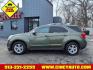 2015 Sea Grass Metallic G22 Chevrolet Equinox LT (2GNALBEK0F6) with an 2.4L 2.4L I4 182hp 172ft. lbs. Direct Injection engine, 6-Speed Shiftable Automatic transmission, located at 2813 Gilbert Avenue, Cincinnati, OH, 45206, (513) 221-2255, 39.130219, -84.489189 - Photo#1